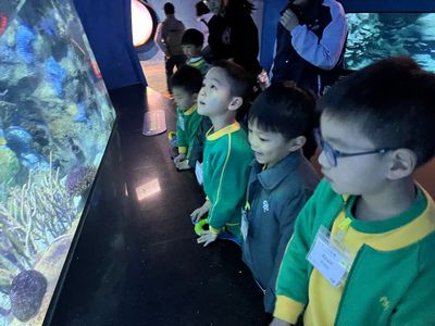 高班參觀海洋公園